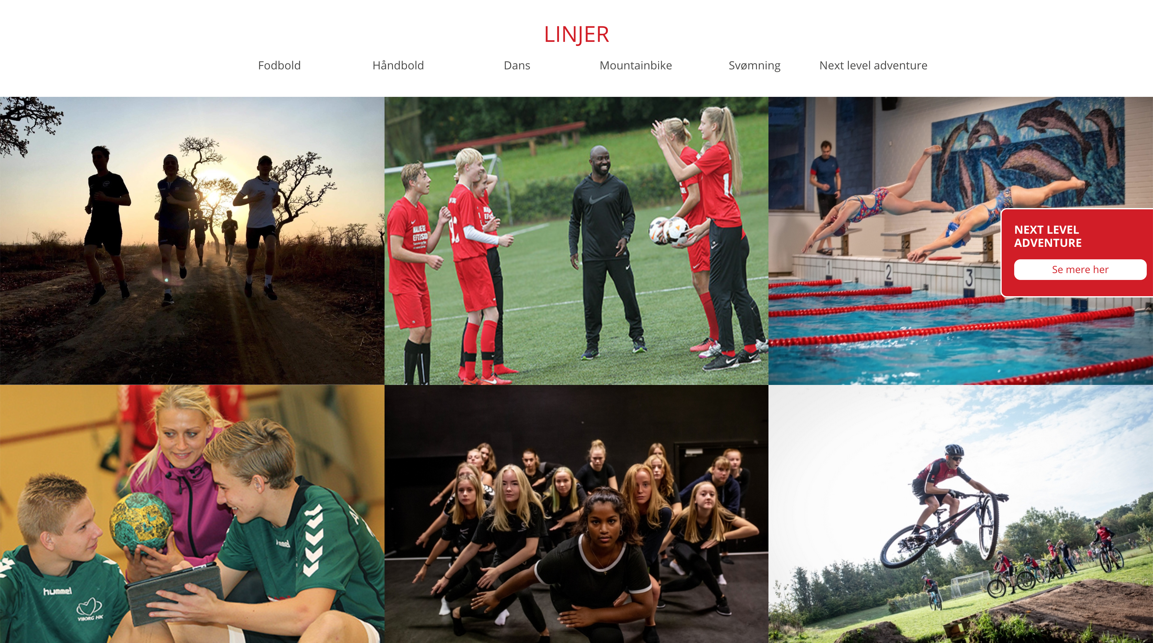 hald-ege-efterskole-6-linjer.jpg