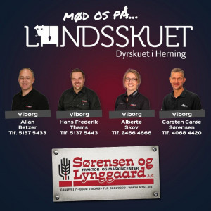 Dyrskue i Herning fra idag 