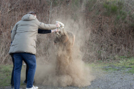 Mathias fylder 30 år idag - og peber skulle der til