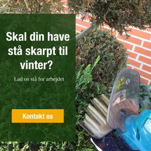 Skal din have stå skarpt hele vinteren?