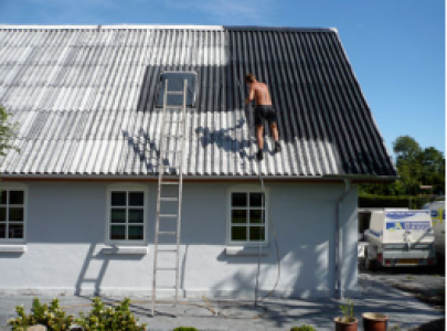 Viborg´s Tagrengøring og Malerservice