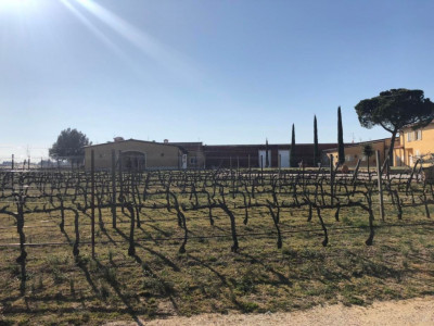 Dahls vinhandel har personale udsendt i Toscana
