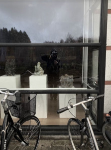 Lækkertrist? her er nogle bud 