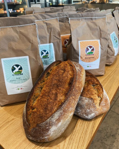 Cremestang fra Bakerybydoktor