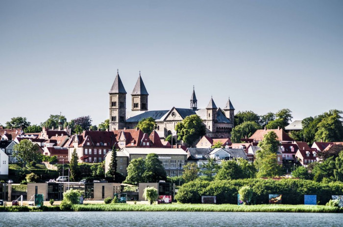 Viborg Domkirke